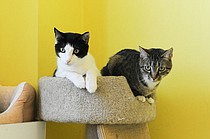 photo thumbnail