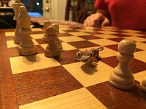 photo thumbnail