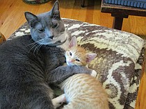photo thumbnail