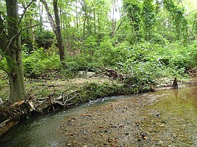 Photo detail