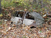 photo thumbnail