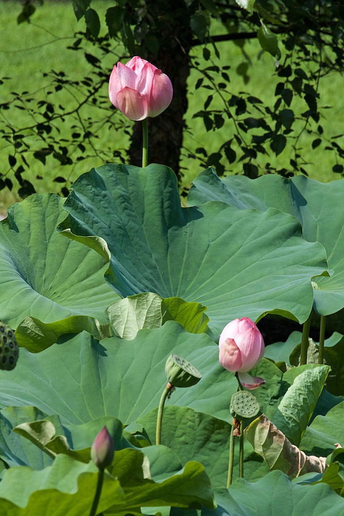 Photo detail