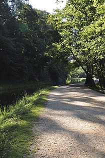 photo thumbnail
