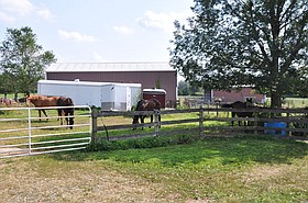 Photo detail