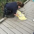 photo thumbnail