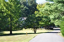 photo thumbnail