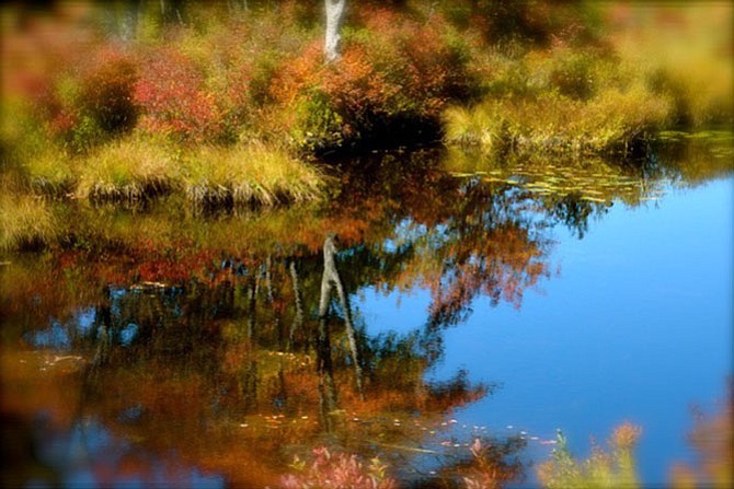 Photo detail