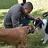 photo thumbnail