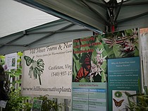 photo thumbnail