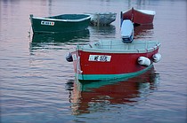 photo thumbnail
