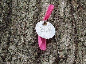 Photo detail