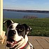 photo thumbnail