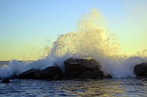 photo thumbnail