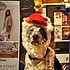 photo thumbnail