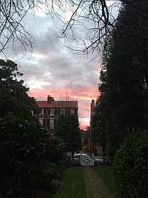 photo thumbnail