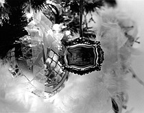photo thumbnail