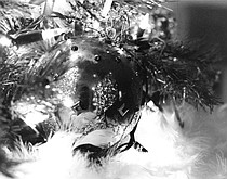photo thumbnail
