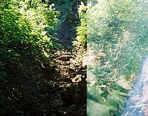 photo thumbnail