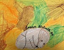 photo thumbnail