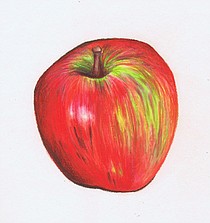 photo thumbnail