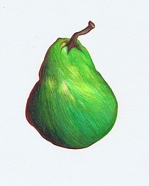 photo thumbnail