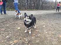 photo thumbnail