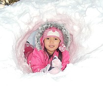 photo thumbnail