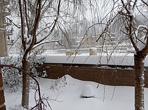 photo thumbnail