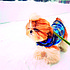 photo thumbnail