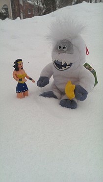 photo thumbnail