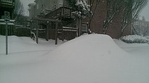photo thumbnail