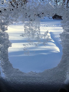 Photo detail