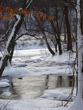 Photo detail