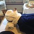 photo thumbnail