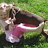 photo thumbnail