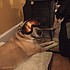 photo thumbnail
