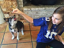 photo thumbnail