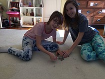 photo thumbnail