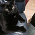 photo thumbnail
