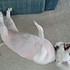 photo thumbnail