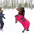 photo thumbnail