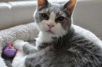 photo thumbnail