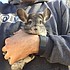 photo thumbnail