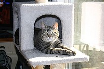 photo thumbnail