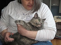 photo thumbnail