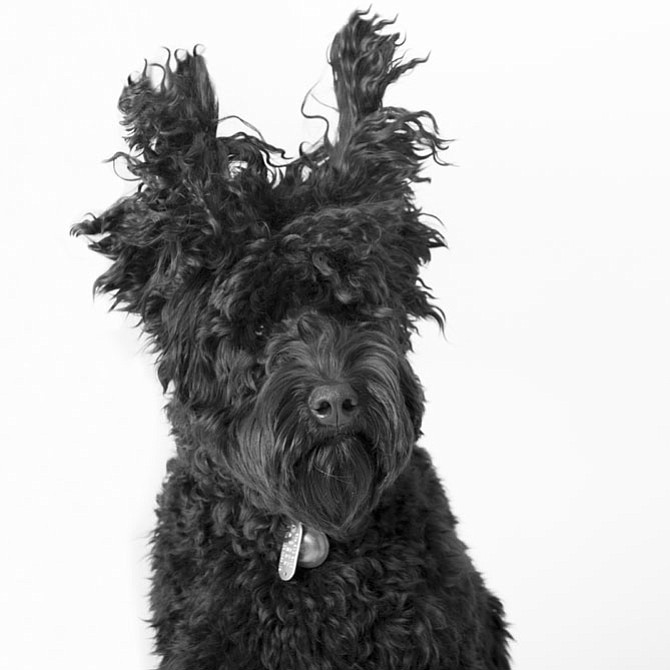Photo detail