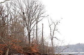 Photo detail