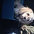 photo thumbnail