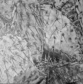 Photo detail