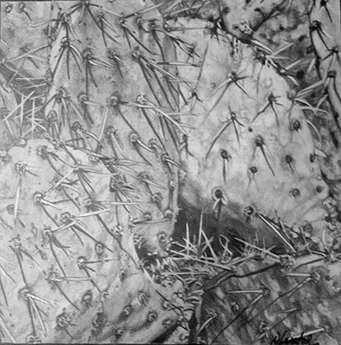 Photo detail